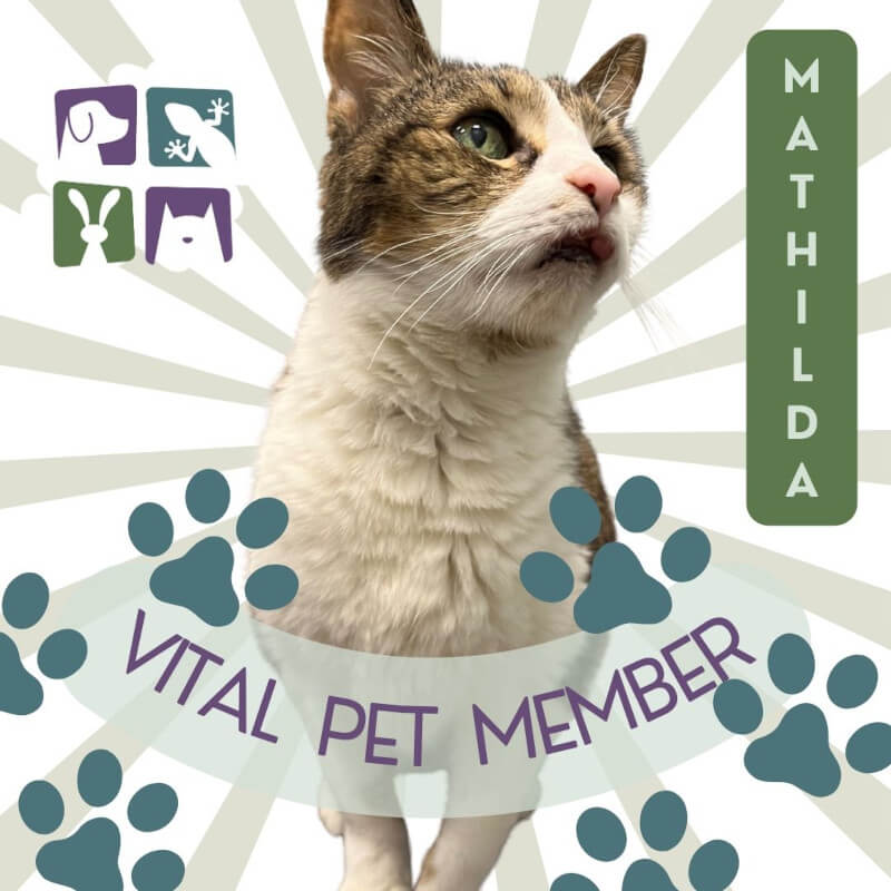 Vital Pet Member